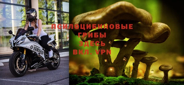 синтетический гашиш Абинск