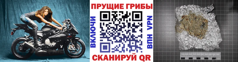 Галлюциногенные грибы мицелий  Новое Девяткино 